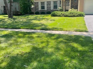 Gregory J.'s turf maintenance service result