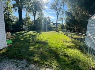 Shawnell F.'s lawn care services service result