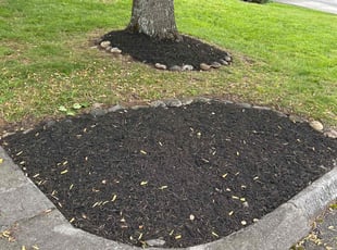 Tamara H.'s Mulching service result