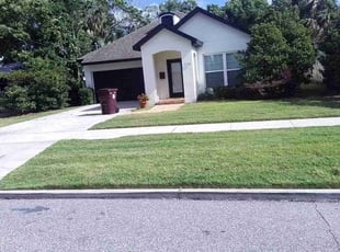 Jasmine W.'s turf care service result
