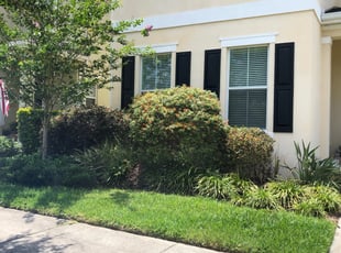 Laura N.'s Bush Trimming service result