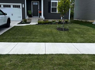 Debrenna A.'s lawn service service result