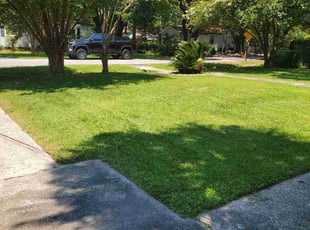Brienne G.'s turf maintenance service result