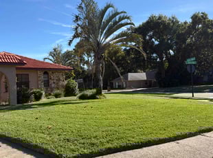 Sabina M.'s grass cutting service result