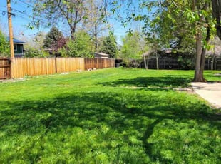 Katrina M.'s turf maintenance service result