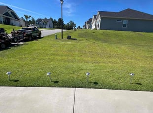 Monique W.'s turf care service result