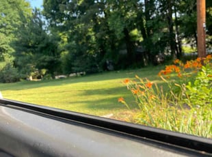 Harry s.'s lawn service service result