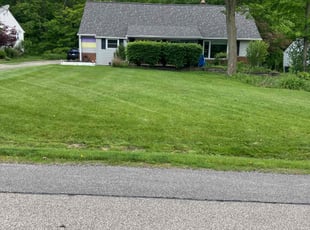 Jt K.'s yard work service result