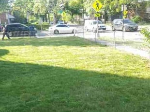 Stan D.'s turf maintenance service result