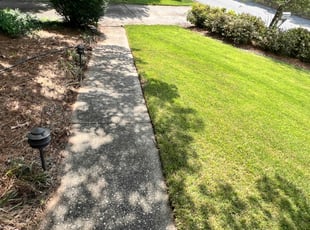Craig C.'s gardening service service result