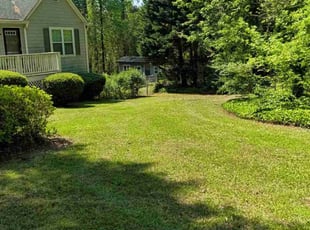 Elisabeth P.'s lawn care service result