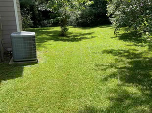 Marci B.'s lawn care service result