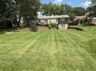 Joyce B.'s lawn maintenance service result