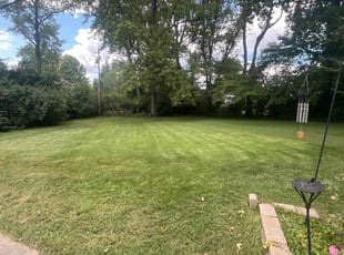 Mike K.'s grass maintenance service result