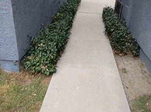 Davone M.'s grass maintenance service result