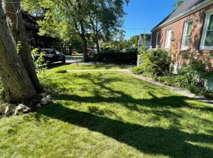 Corey S.'s grass cutting service result