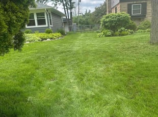 Bobby H.'s Long Grass Cleanup service result