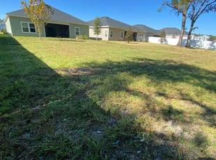 Ken H.'s lawn maintenance service result