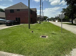 Marianne A.'s lawn care service result