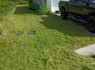 Muriel O.'s lawn service service result