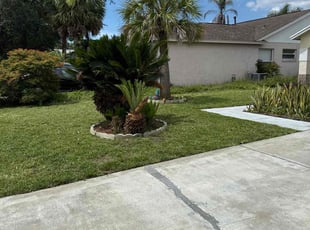Franzella M.'s grass maintenance service result