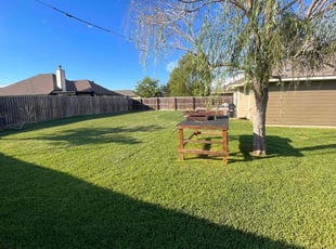 Kristen D.'s lawn care service result