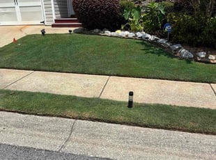 Jane B.'s grass cutting service result