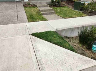 cynthia b.'s turf care service result