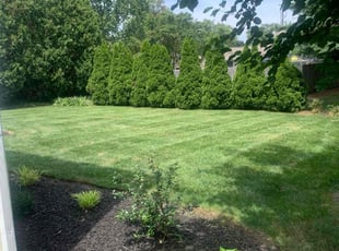 Suzanne F.'s grass cutting service result