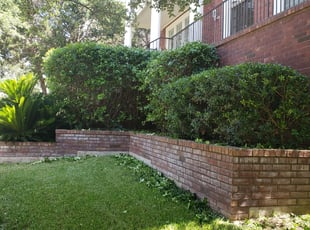Brian E.'s Bush Trimming service result