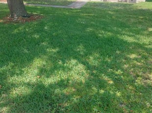 John Z.'s lawn service service result
