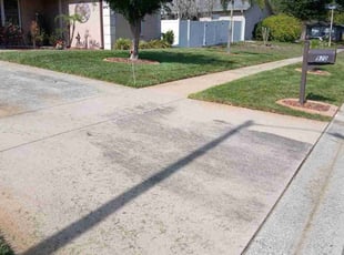 Randy B.'s turf maintenance service result