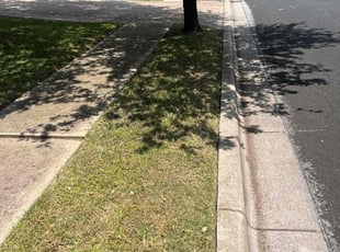 David C.'s turf maintenance service result