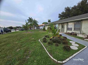 Adam K.'s grass cutting service result