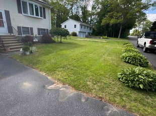 Kenneth B.'s grass cutting service result