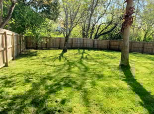 Pmw P.'s Long Grass Cleanup service result