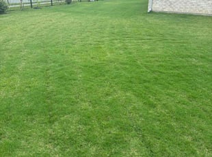 Rick B.'s lawn maintenance service result