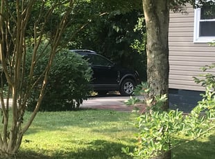 Claudia O.'s Bush Trimming service result