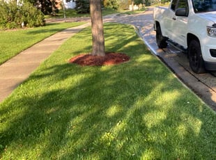 Richard H.'s lawn care service result