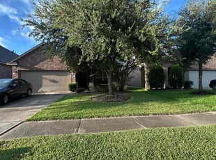 Michael B.'s yard service service result