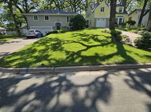 Johnathan J.'s grass maintenance service result