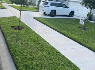 Denise W.'s grass maintenance service result