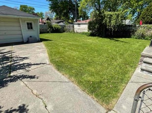 Cassie M.'s turf maintenance service result