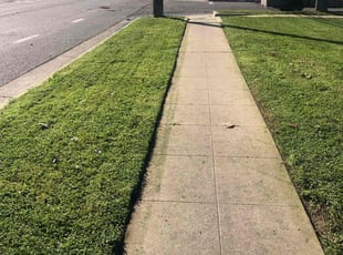 Tasha N.'s lawn care service result