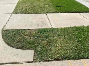 Amie B.'s turf care service result