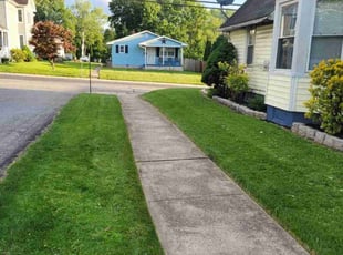 Angela J.'s turf maintenance service result