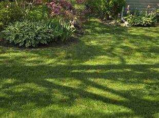 Danny V.'s lawn service service result