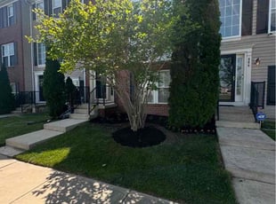 Trish B.'s Mulching service result