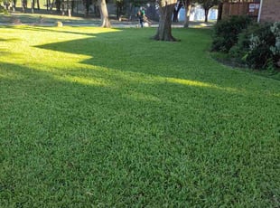 Lavette W.'s lawn service service result