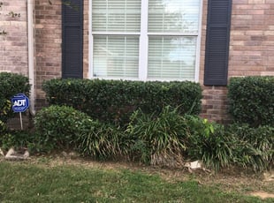 Joseph Z.'s Bush Trimming service result